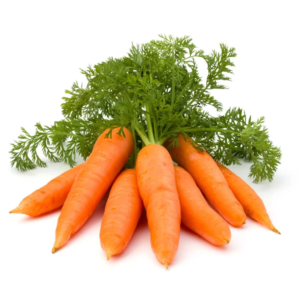 Cà rốt và 6 công dụng bất ngờ cho sức khỏe